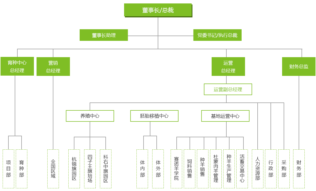 组织架构