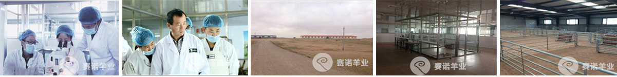 生产基地