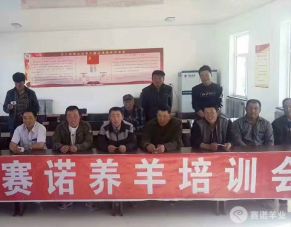 赛诺养羊培训会