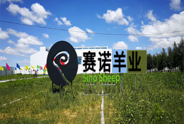 赛诺公司员工福利升级！七险来袭，做有良心，有担当企业！