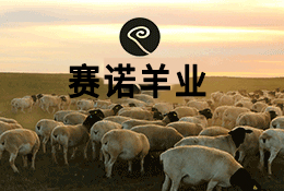 自治区政协党组成员、副主席马学军赴内蒙古赛诺种羊科技有限公司进行科技工作调研